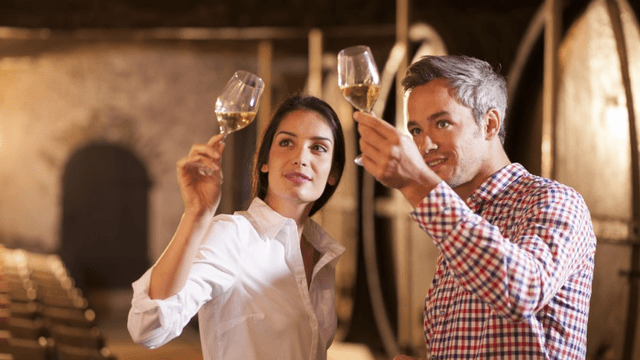 Dégustation de Vins